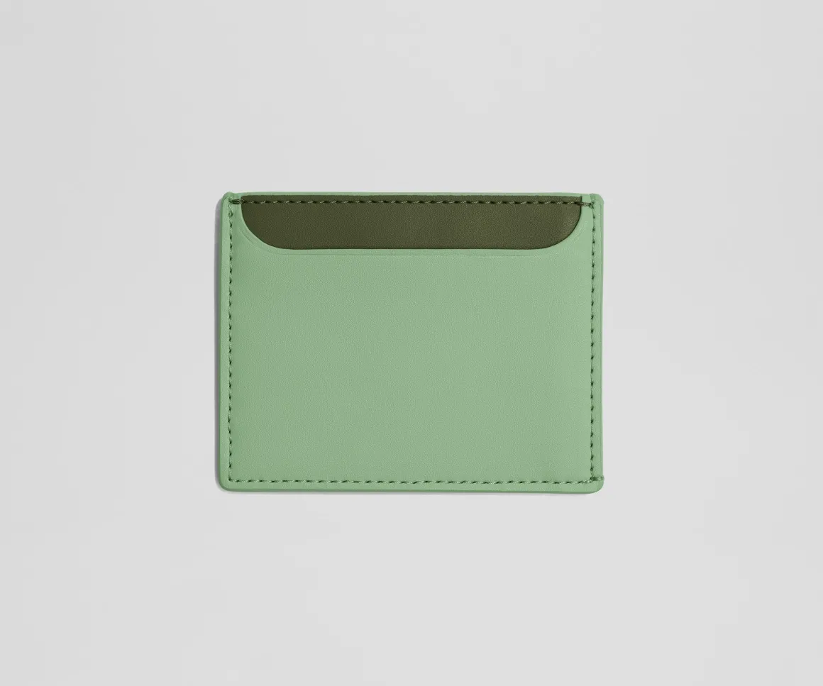 Card Case in Sea Green
