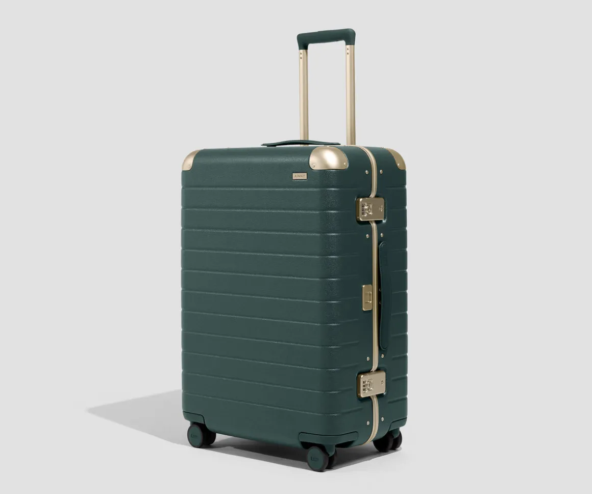 The Aluminum Edge Medium in Ivy Green