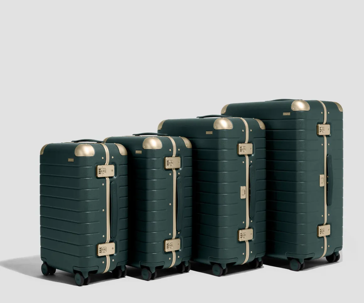 The Aluminum Edge Medium in Ivy Green