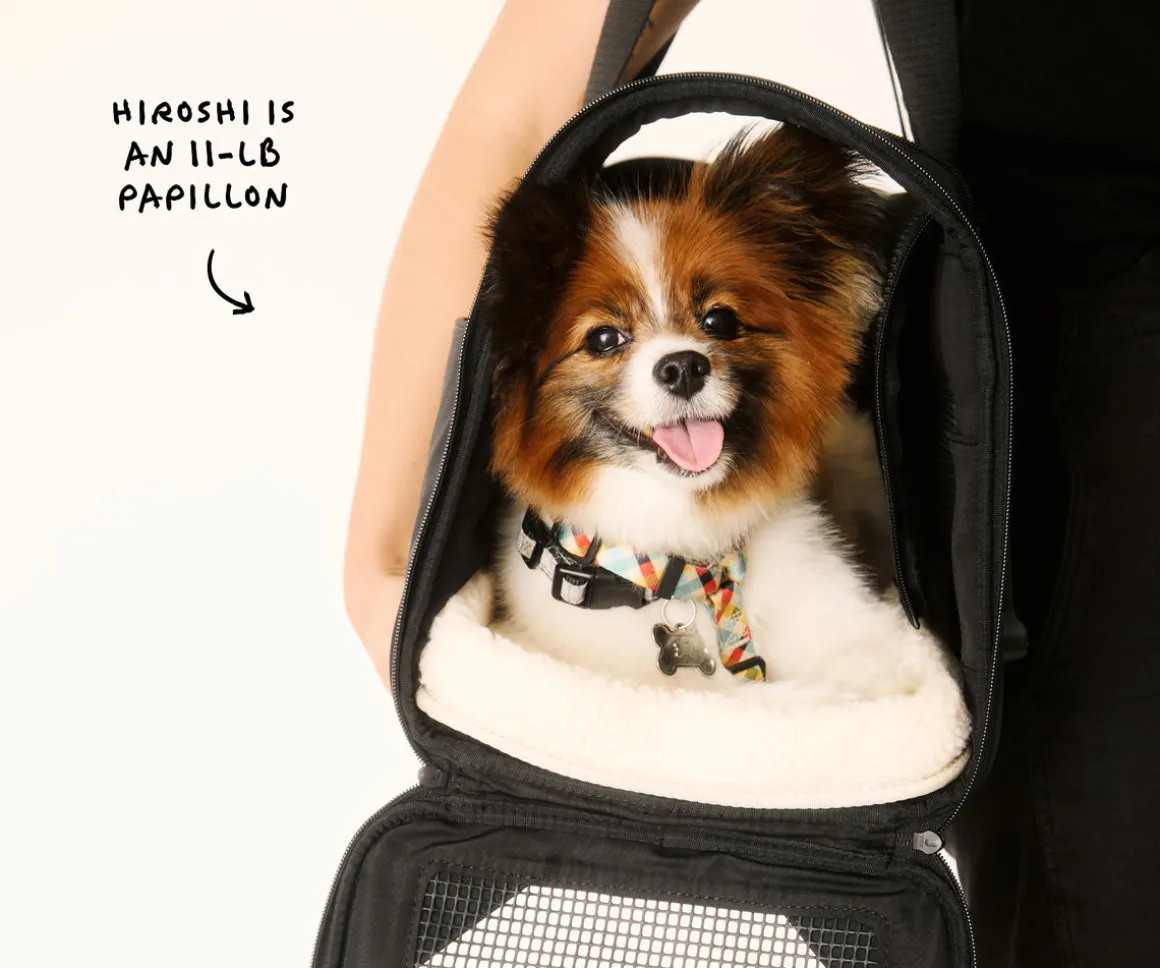 The Pet Carrier in Jet Black