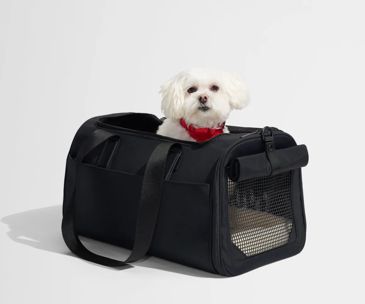 The Pet Carrier in Jet Black