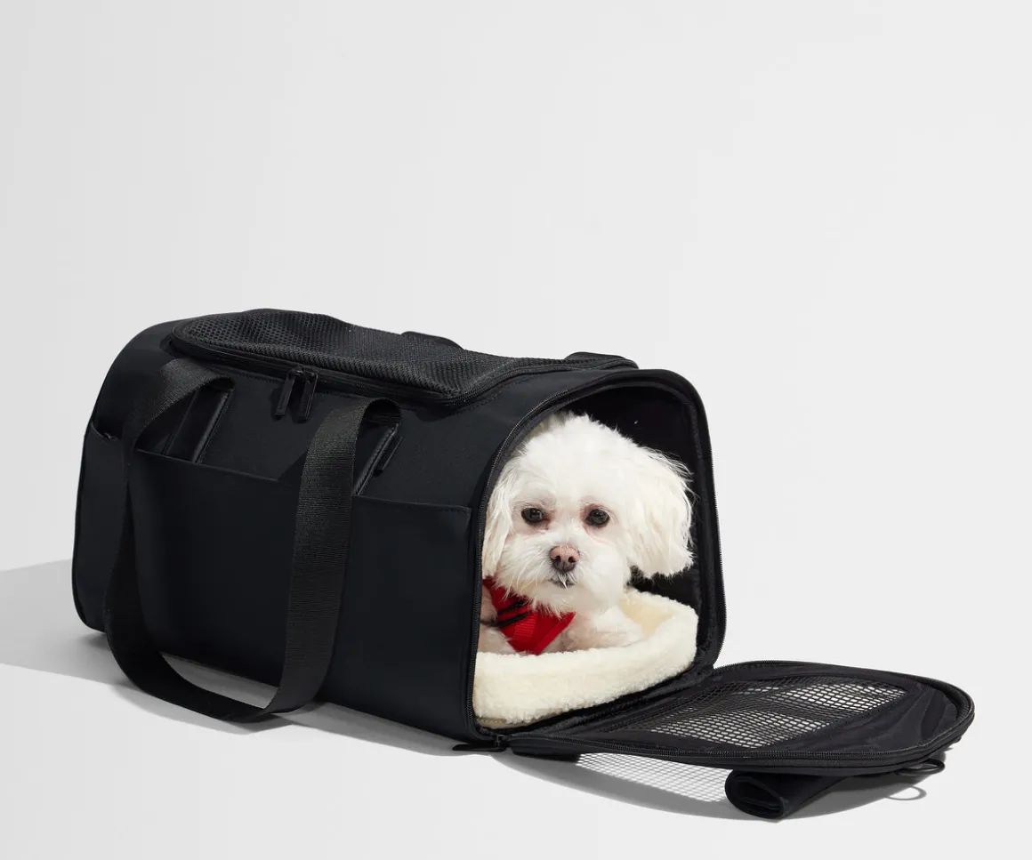 The Pet Carrier in Jet Black