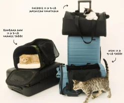 The Pet Carrier in Jet Black