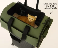 The Pet Carrier in Olive Green