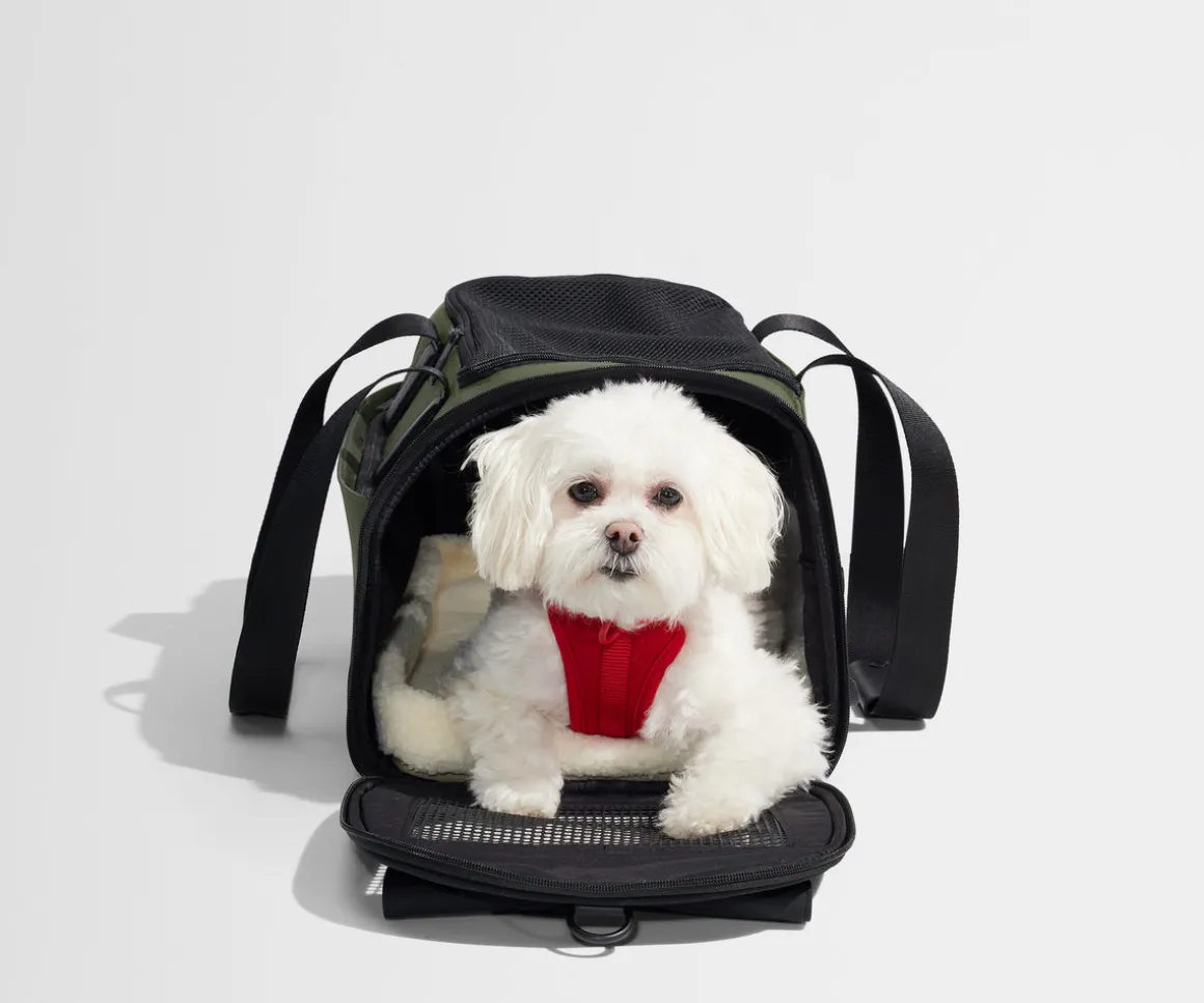 The Pet Carrier in Olive Green