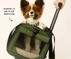 The Pet Carrier in Olive Green