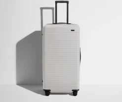 The Trunk in Cloud Gray
