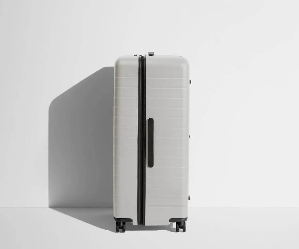 The Trunk in Cloud Gray