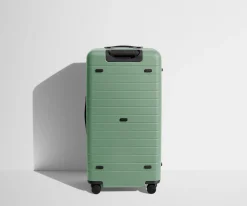 The Trunk in Sea Green